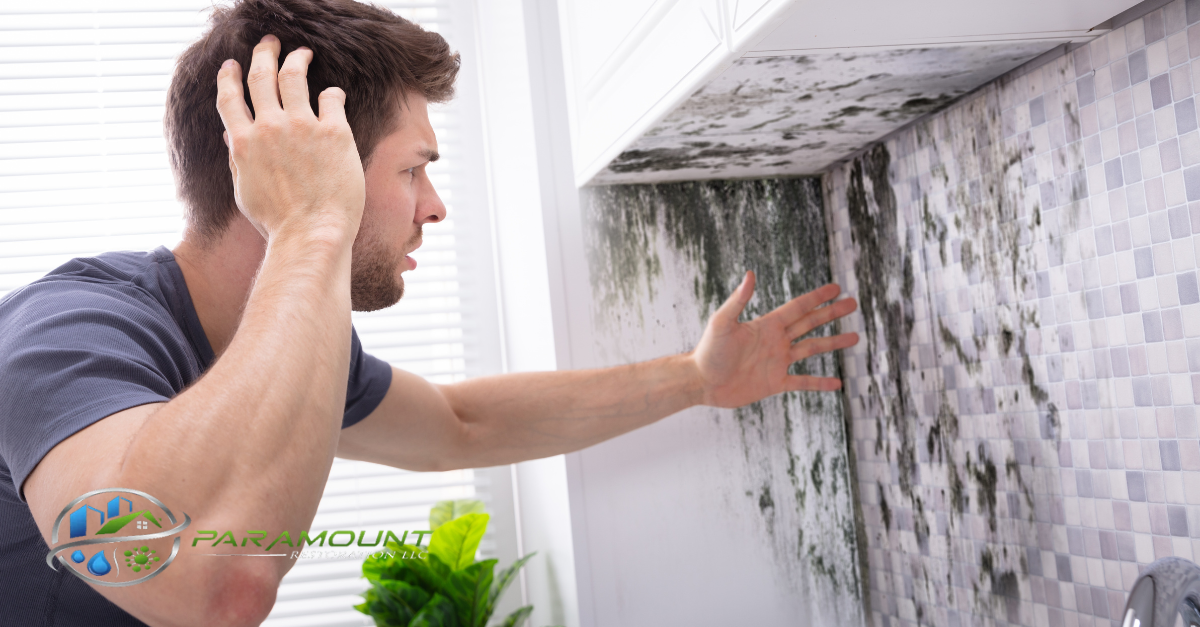 5 Reasons Why Professional Mold Remediation is Essential for Your Family’s Health