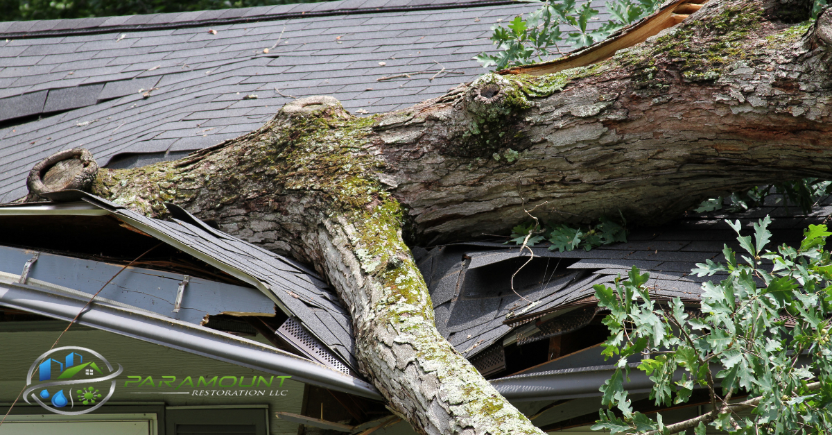 How to Prepare Your Home for Storm Season: Expert Advice and Services