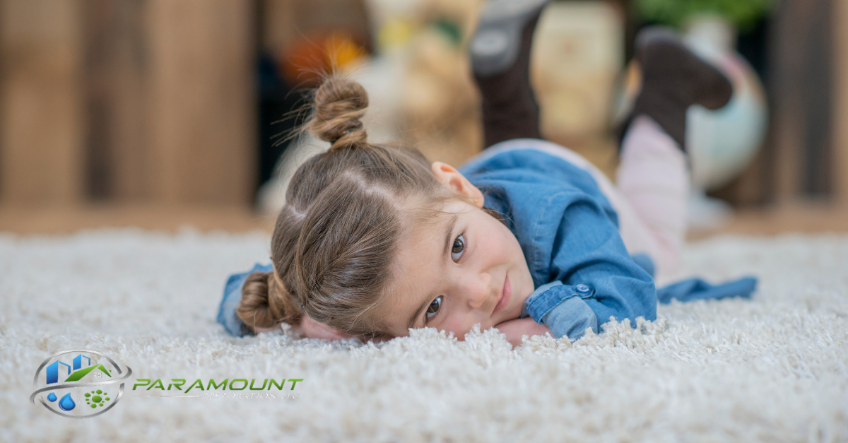 Top Carpet Cleaning Tips to Extend the Life of Your Carpet and Improve Indoor Air Quality